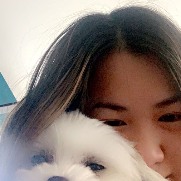 Meet Kira! - Picture 1 of 1